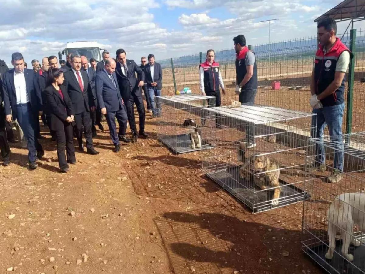 İçişleri Bakan Yardımcısı Aktaş’ın Şırnak temasları