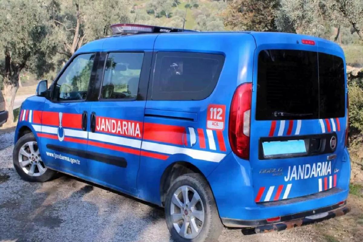 İncir Hırsızlığı: 4 Şüpheli Suçüstü Yakalandı
