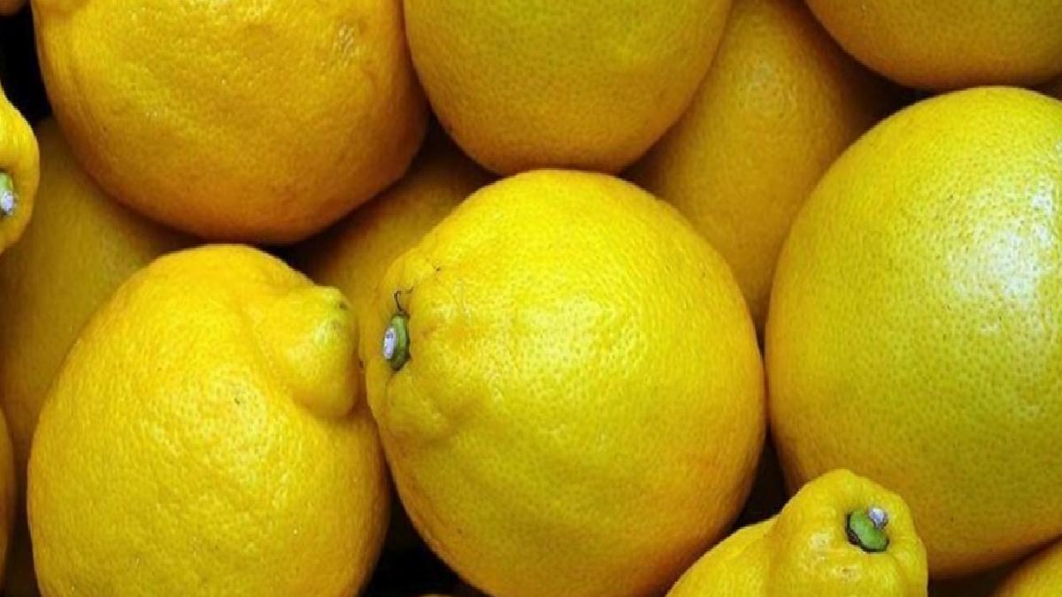 Irak, Türk limonuna talepte birinci sıraya yükseldi