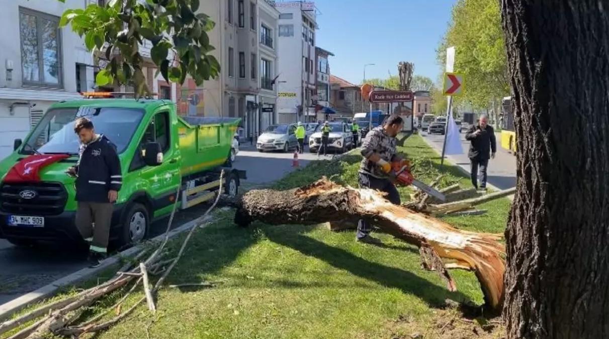 İstanbul’da Fırtına Ağaçları Devrildi