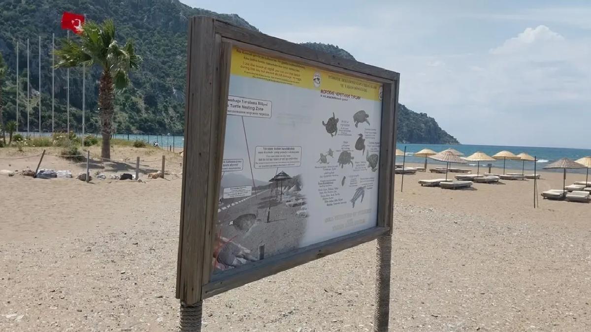 İztuzu’nda Caretta Caretta Hazırlıkları Tamamlandı