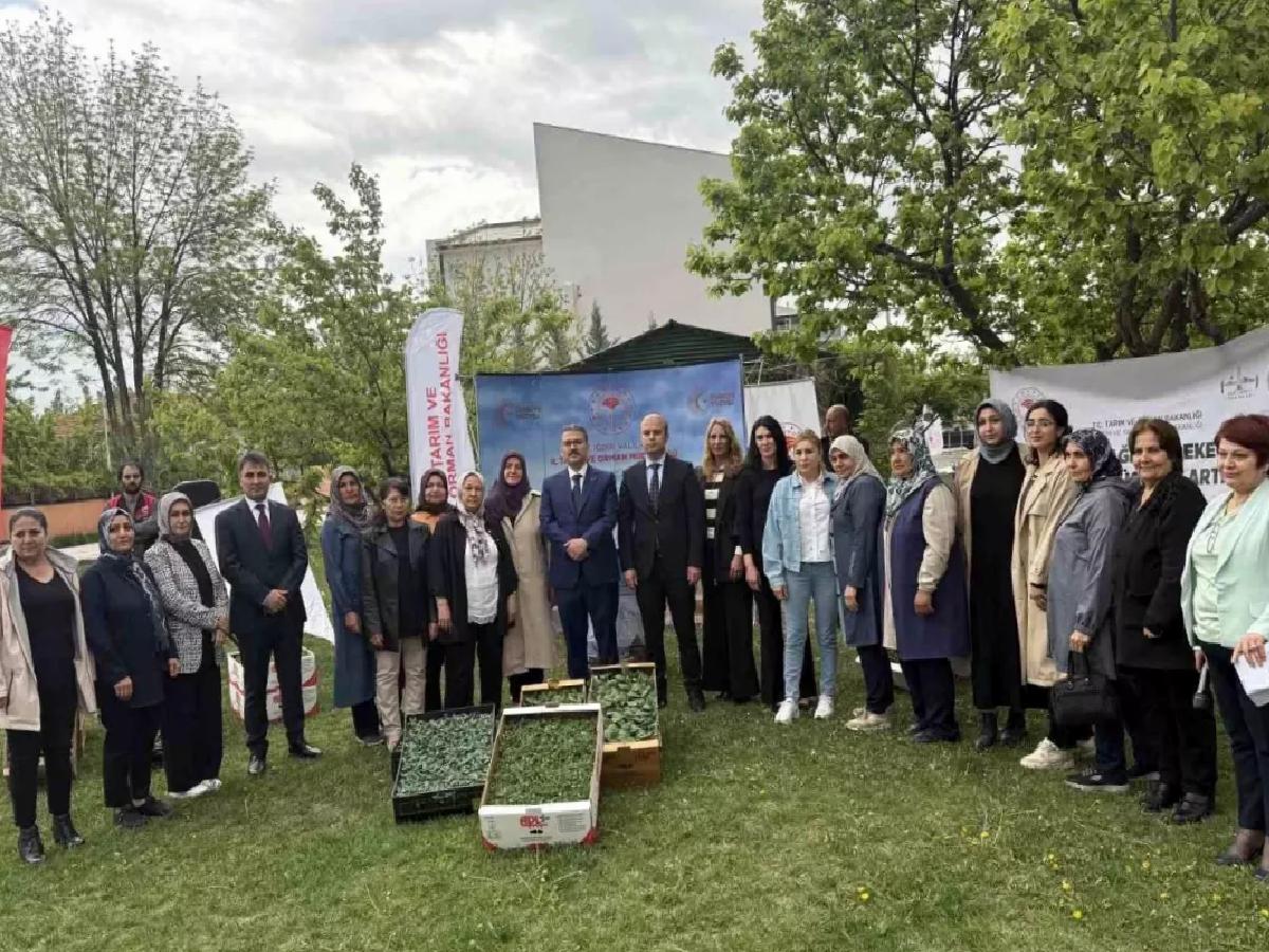 Kadın Çiftçilere Fide Dağıtımı Yapıldı
