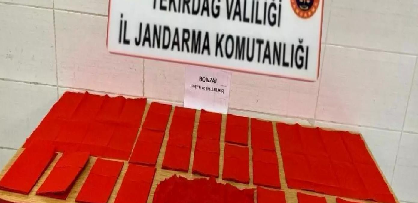 Kapaklı’da Uyuşturucu Operasyonu: 1 Tutuklama