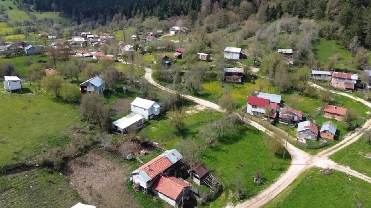 Karagöl Yaylası Hafta Sonu Kaçamağı