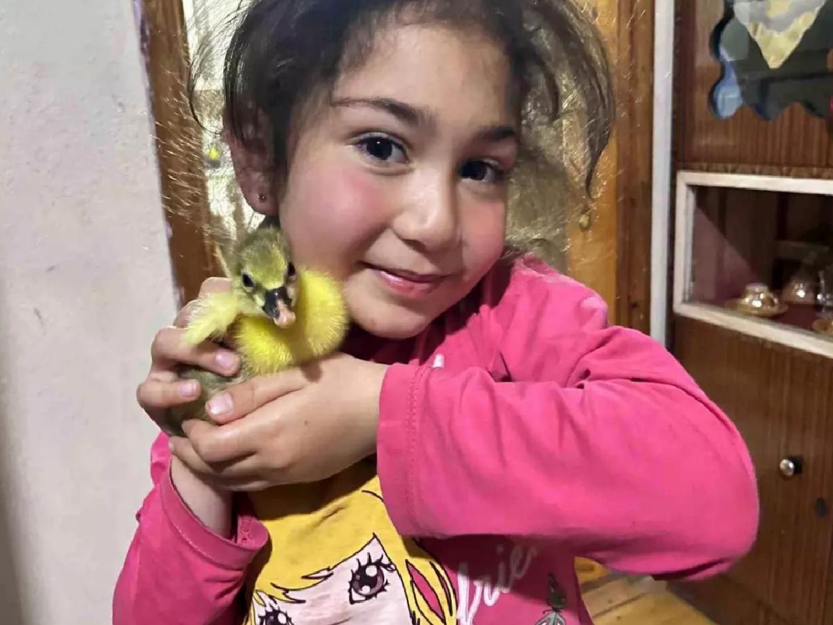 Kars’ta Kaz Yavruları Sezona Merhaba Dedi