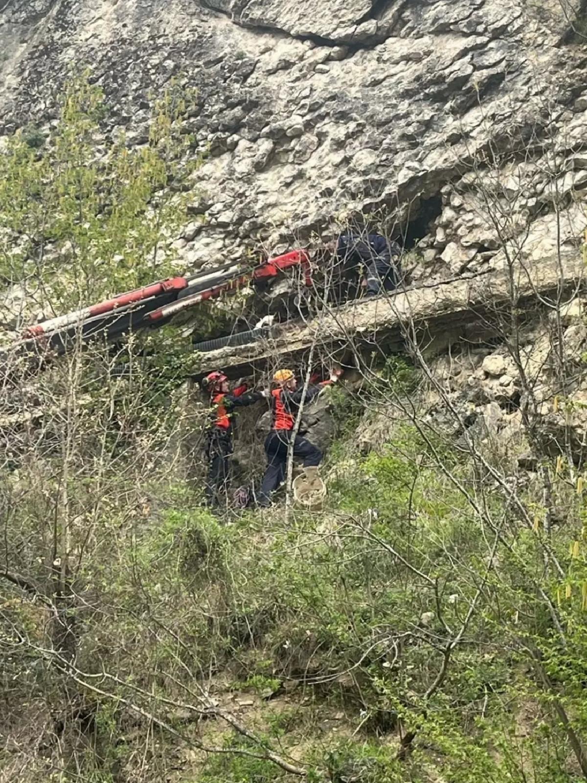 Kayalık Alana Düşen İnek Kurtarıldı