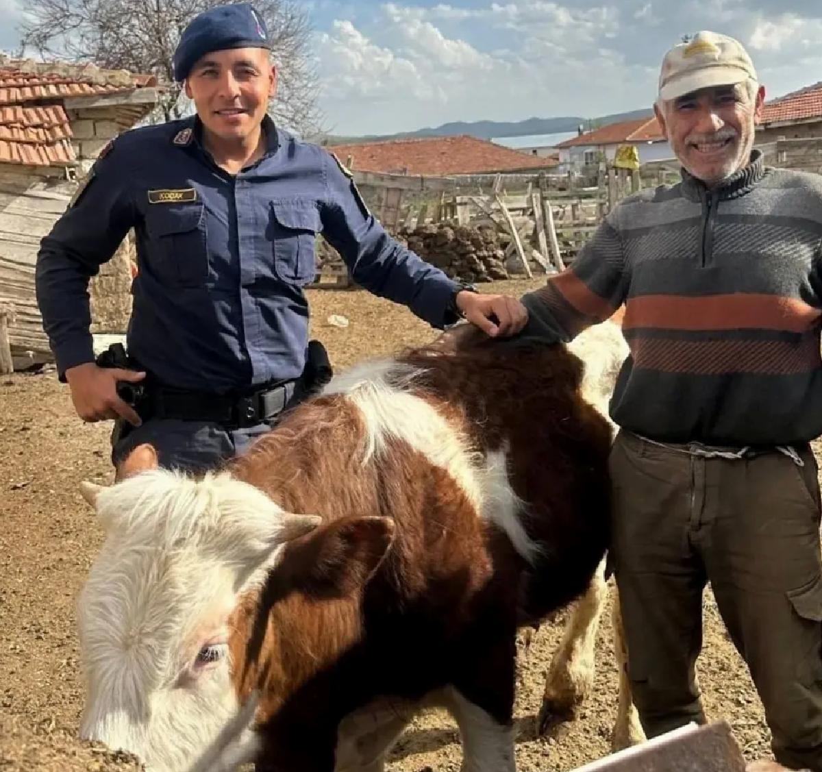 Kaybolan Hayvan Jandarma Tarafından Bulundu