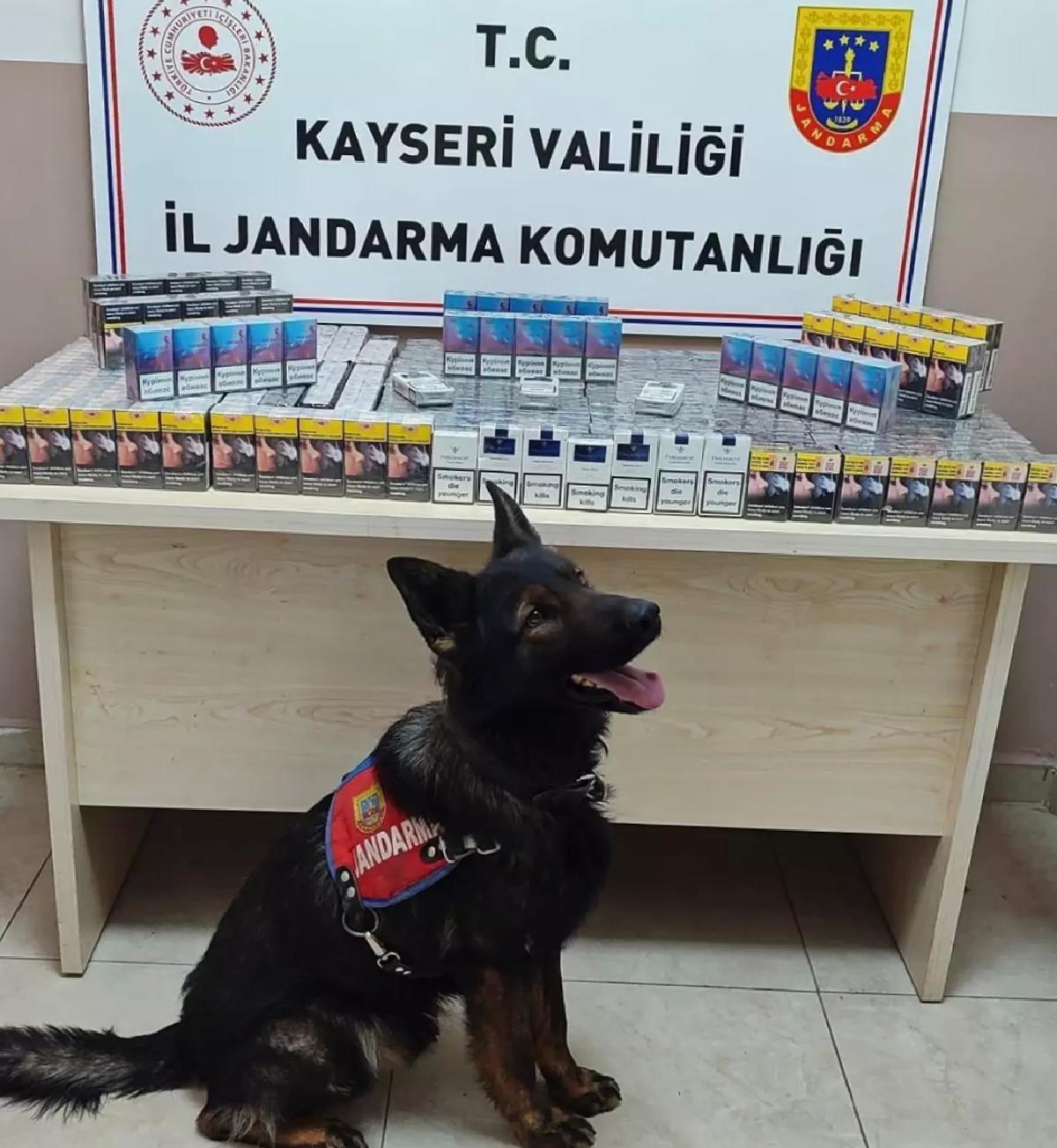 Kayseri’de 670 Paket Gümrük Kaçağı Sigara Ele Geçirildi