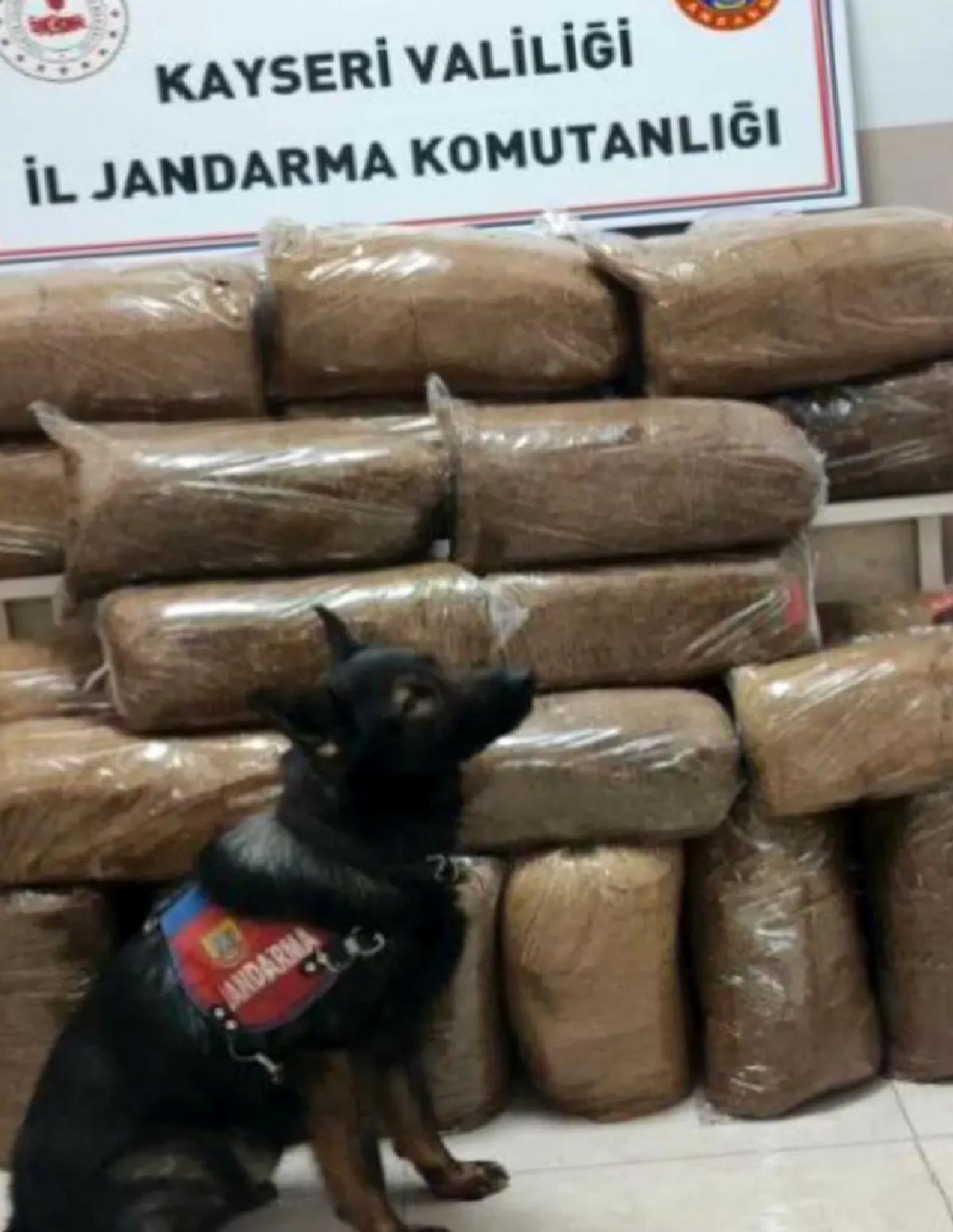 Kayseri’de Bandrolsüz Tütün Ele Geçirildi