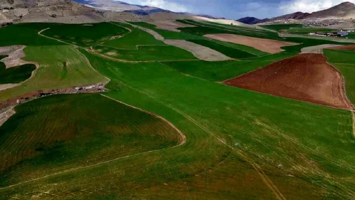 Kırıkkale Yağmuru Çiftçiyi Sevindirdi