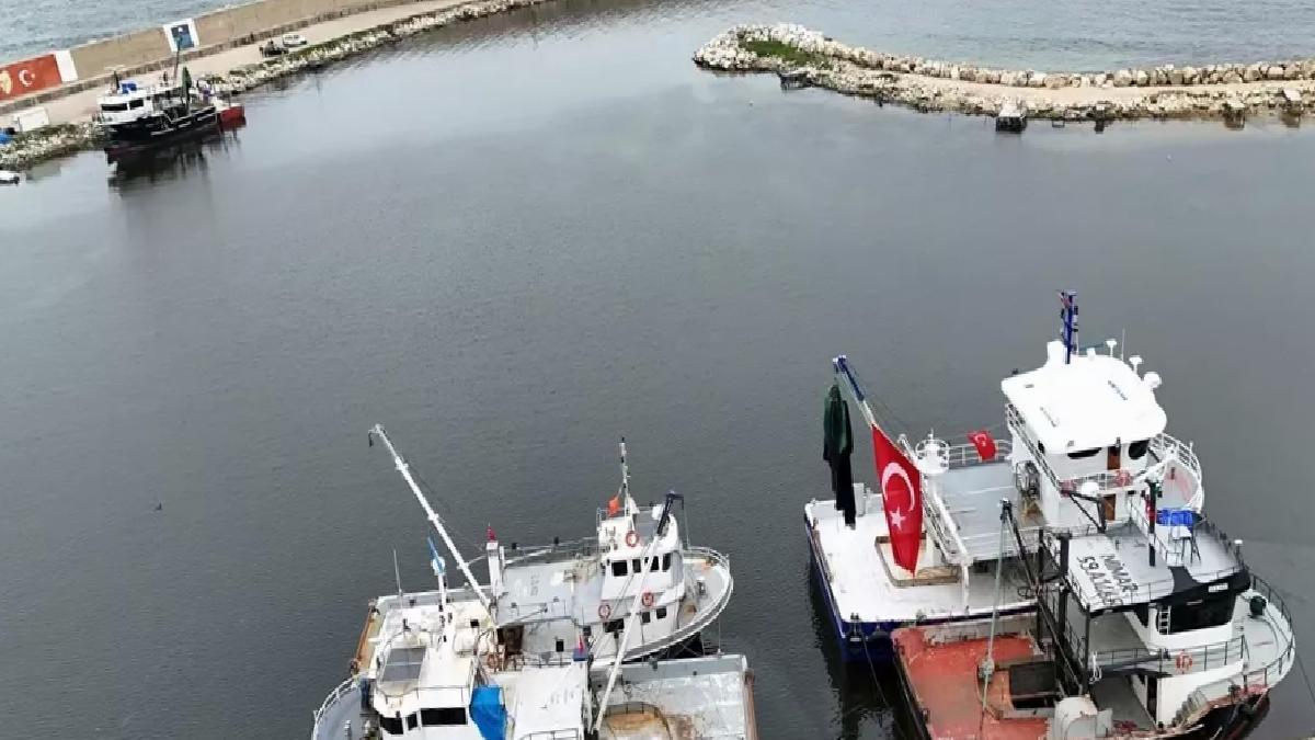 Kırklareli’nde Bol Hamsi Avı