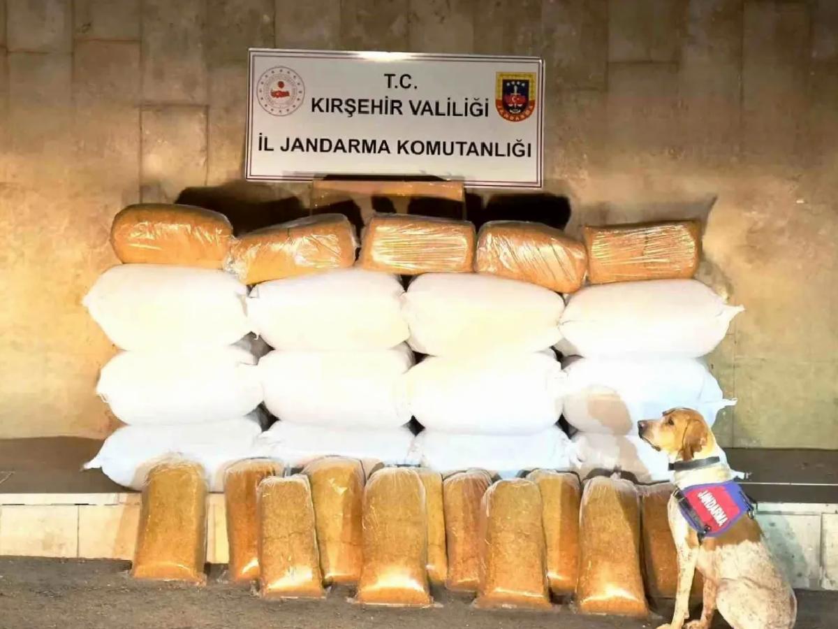 Kırşehir’de 633 Kilo Kaçak Tütün Ele Geçirildi