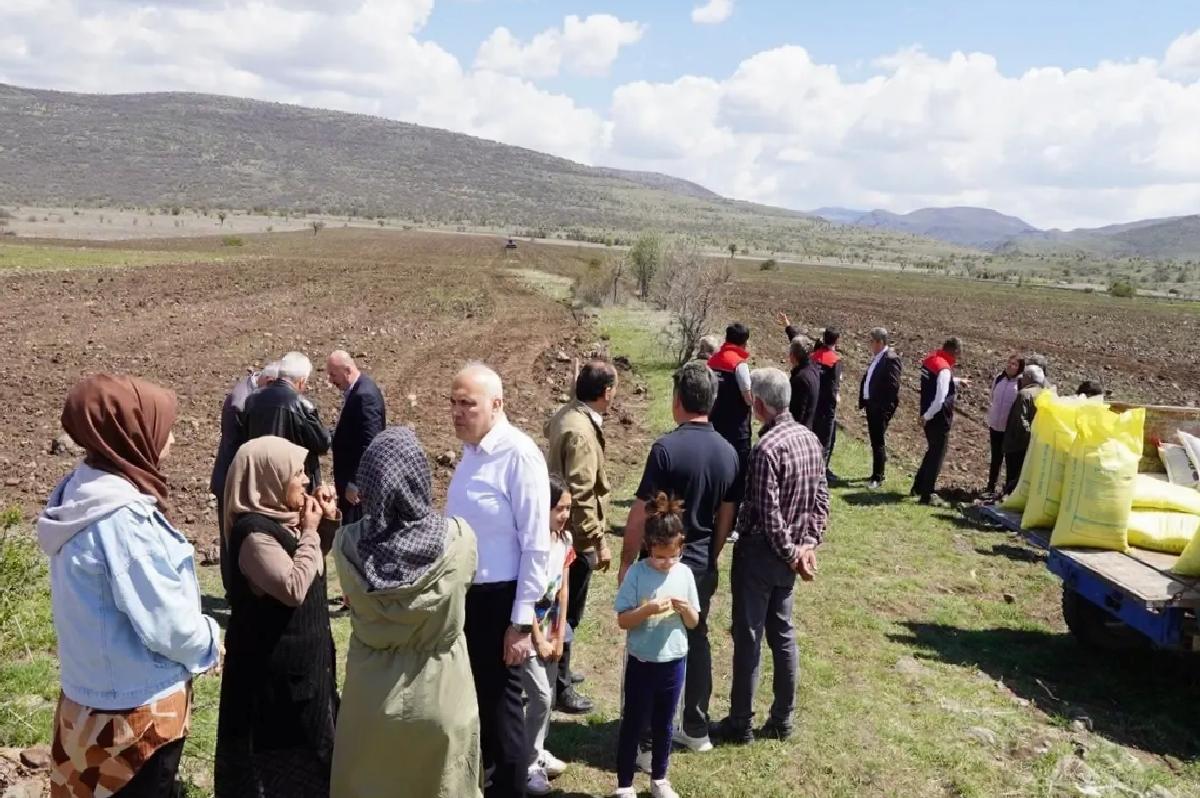 Kızılcahamam’da Karabuğday Desteği