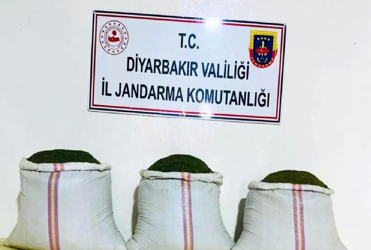 Lice’de Uyuşturucu Operasyonu: 18 Bin Kök Kenevir Ele Geçirildi