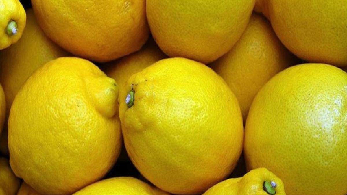 Limon ihracatını durdurma kararı 15 Mayıs’a ertelendi