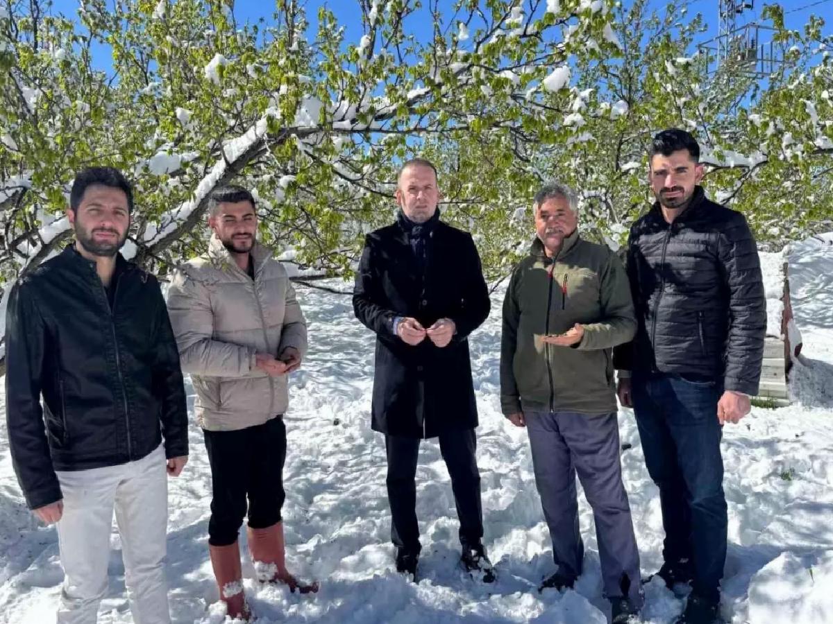 Malatya’da Kayısı Bahçeleri Zarar Gördü