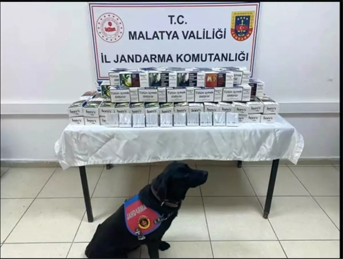 Malatya’da Uyuşturucu ve Kaçakçılık Operasyonu