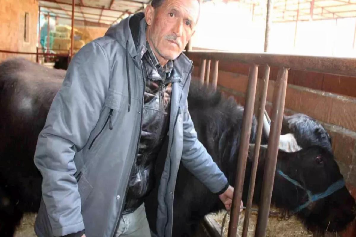 Mandadan Kaymak Üretimi Talebi Aştı