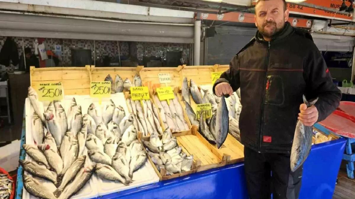 Marmara’da Balık Avlanma Sezonu Sona Erdi, Taze Balık Bulma Endişelerine Yanıt