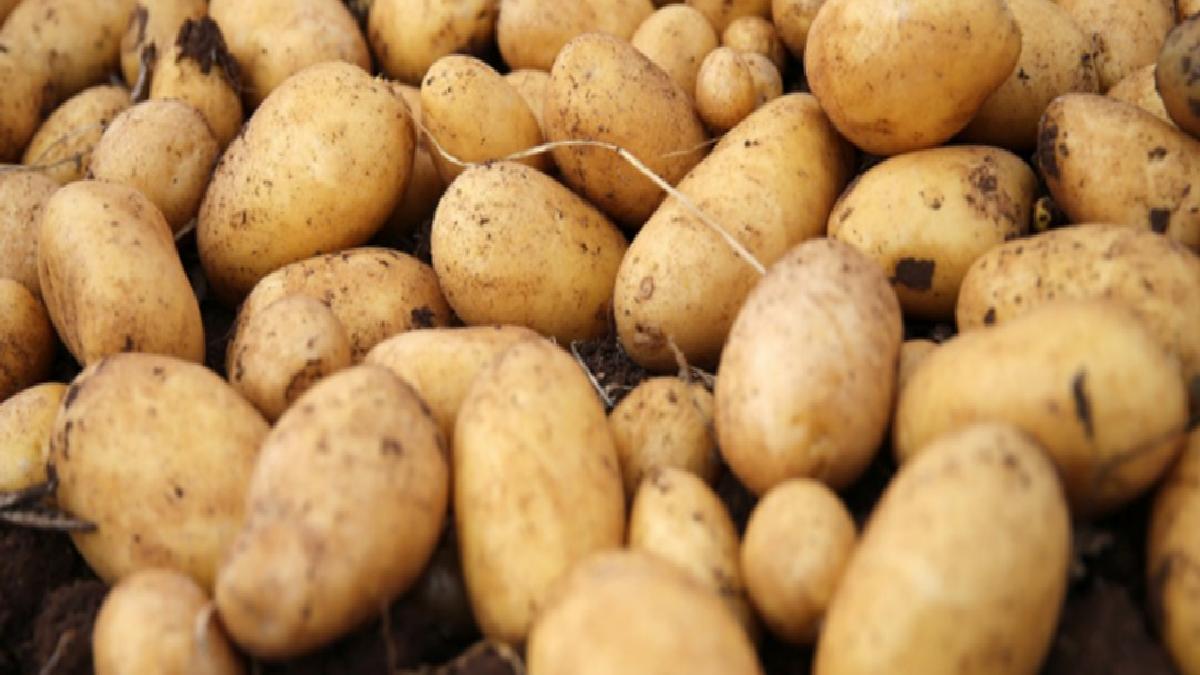 Martta fiyatı en çok artan ürün patates, en fazla düşen uçak bileti oldu