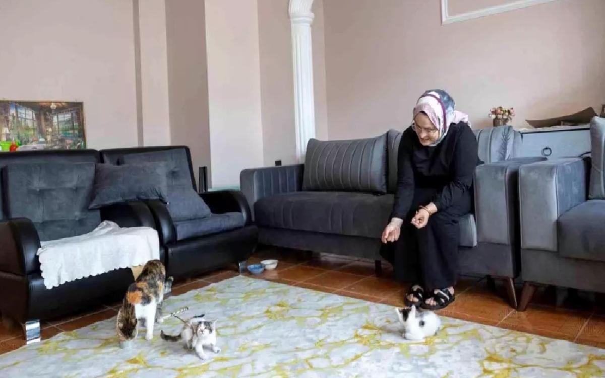 Mersin’de Anne Kedi Alaca ve Yavruları Güvenle Sahiplendiriliyor