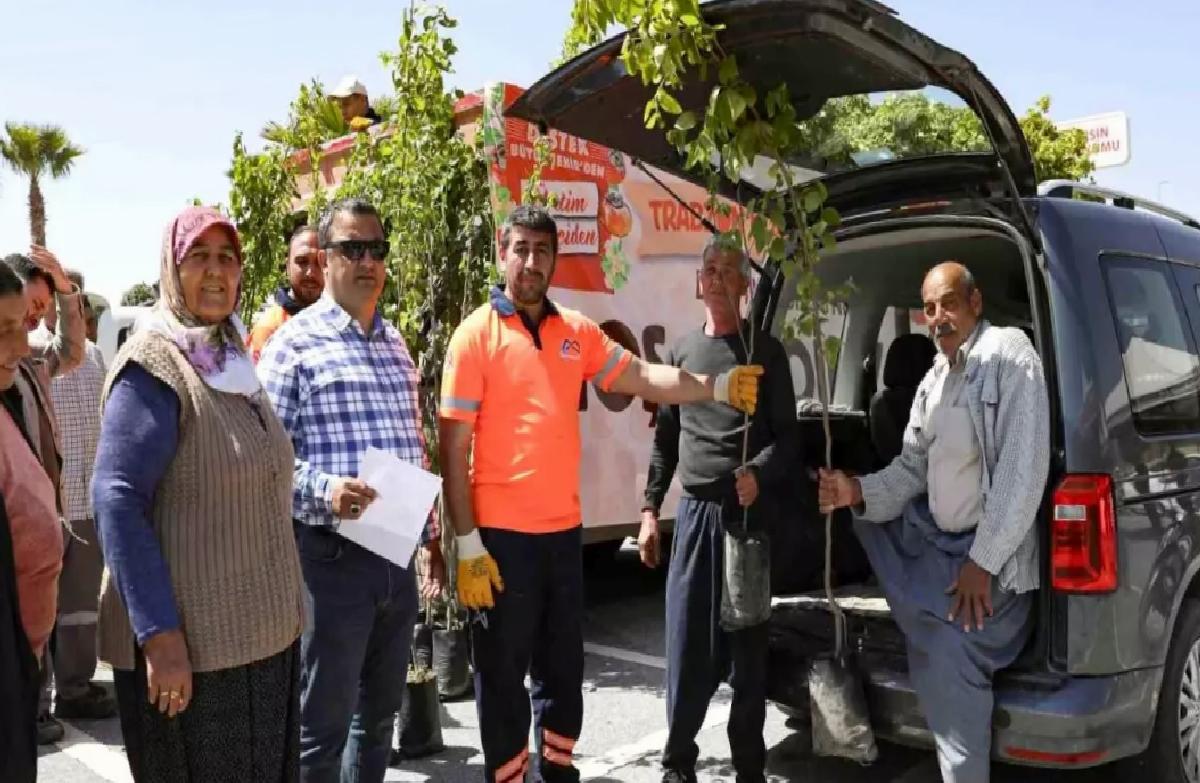 Mersin’de Çiftçilere Trabzon Hurması Fidanı Dağıtıldı