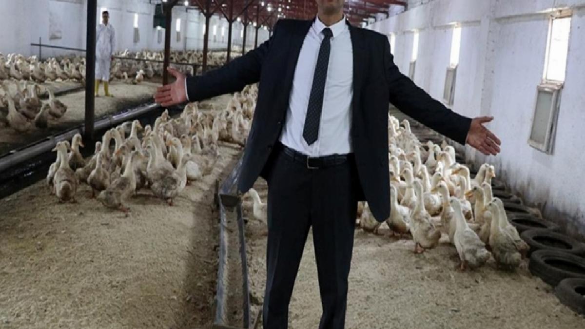 Mısır’dan geldi, Kütahya’da Pekin ördeği çiftliği kurdu