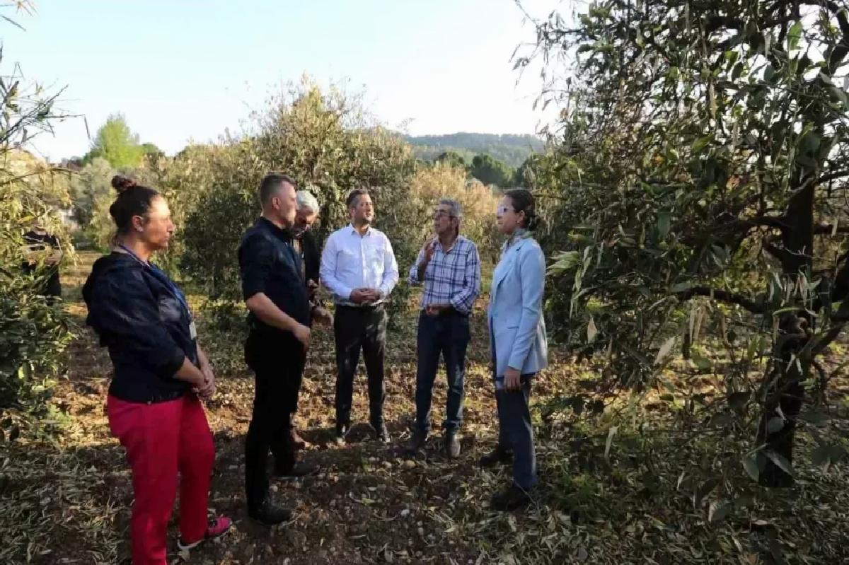 Muğla Büyükşehir Belediyesi, Zirai Donla Mücadelede Üreticilere Gübre Desteği Sağladı