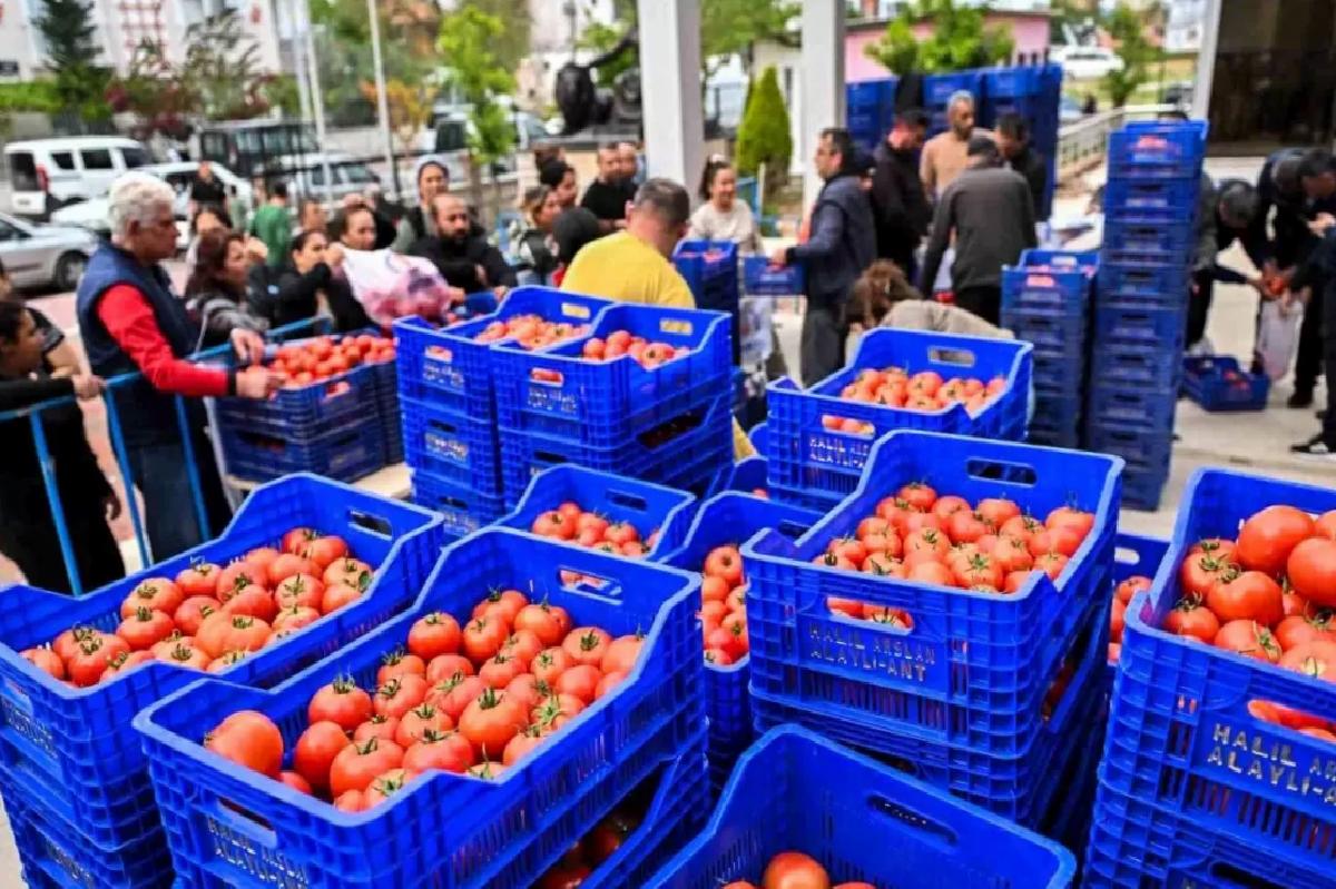 Muratpaşa Belediyesi’nden Zirai Don Sonrası Tarıma Destek