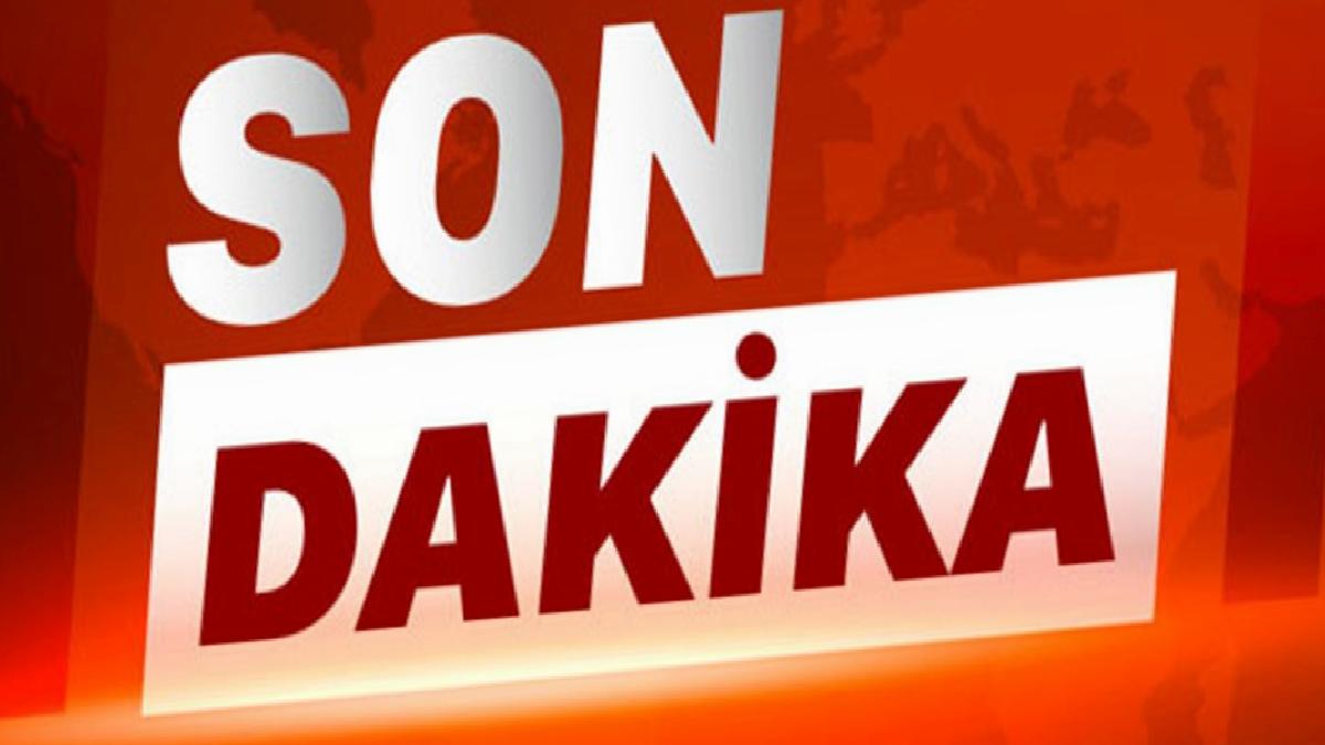 Narin cinayeti davası ertelendi