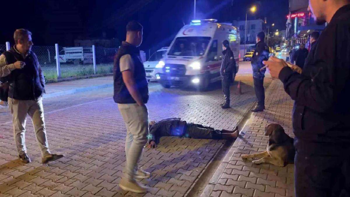 Sadık Köpek, Alkollü Sahibinin Başından Ayrılmadı