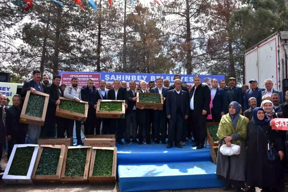 Şahinbey Belediyesi’nden Çiftçilere 7 Milyon Fide Desteği