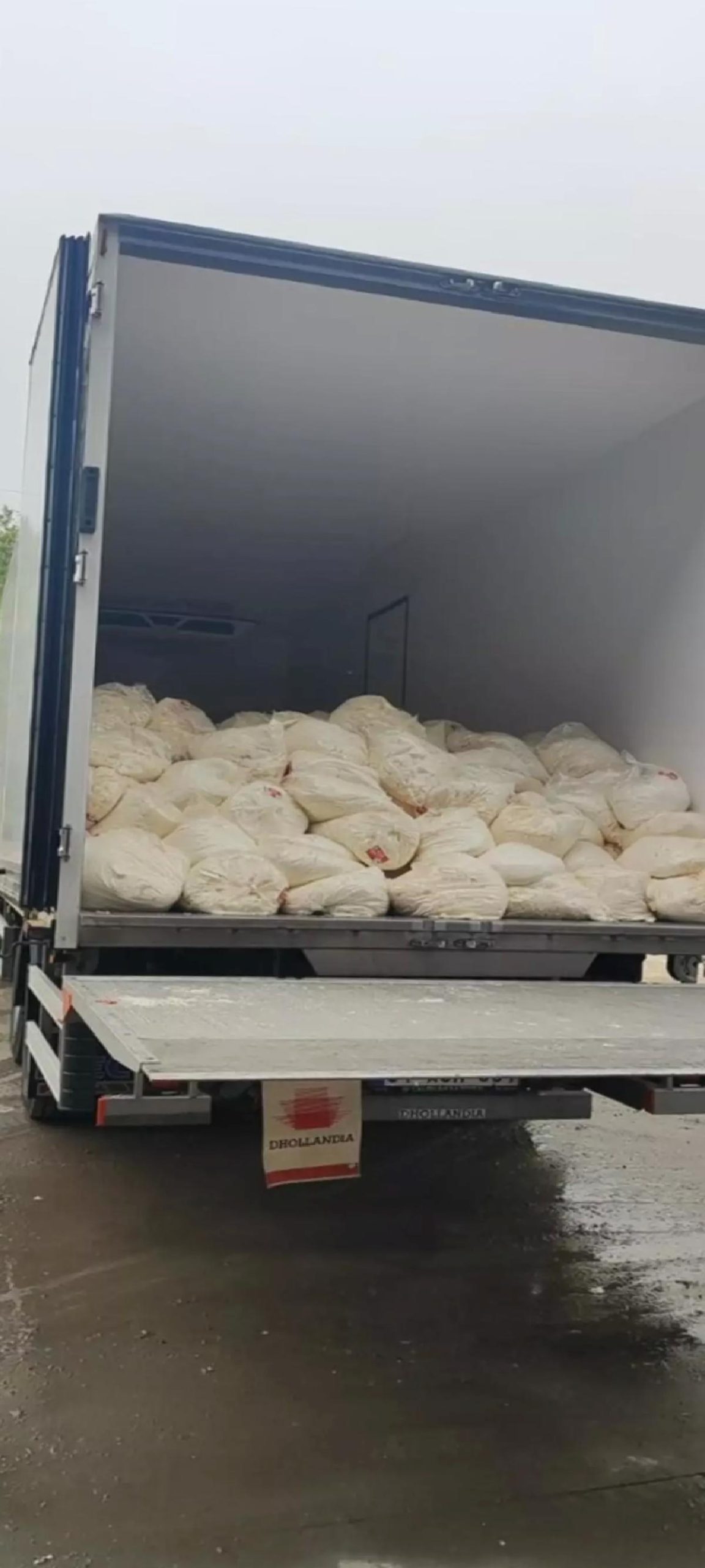 Sakarya’da 23 Ton Lor Peynir İmha Edildi