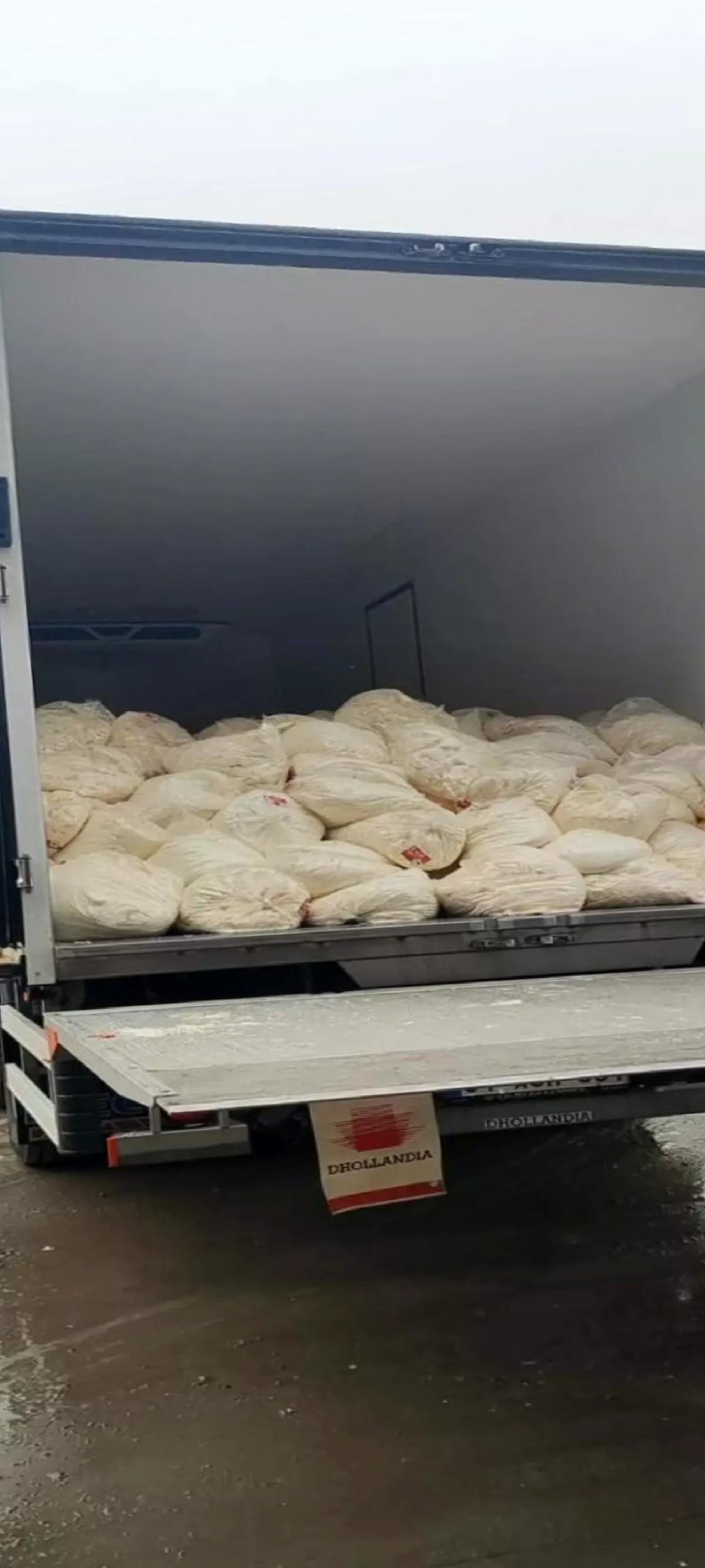 Sakarya’da 23 Ton Tarihi Geçmiş Peynir İmha Edildi