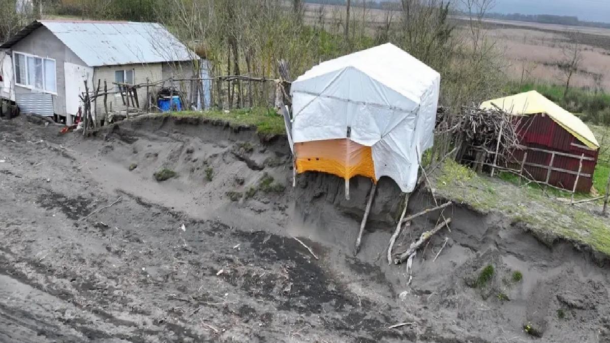Samsun’da Kıyı Erozyonu Ağaçları Devirdi