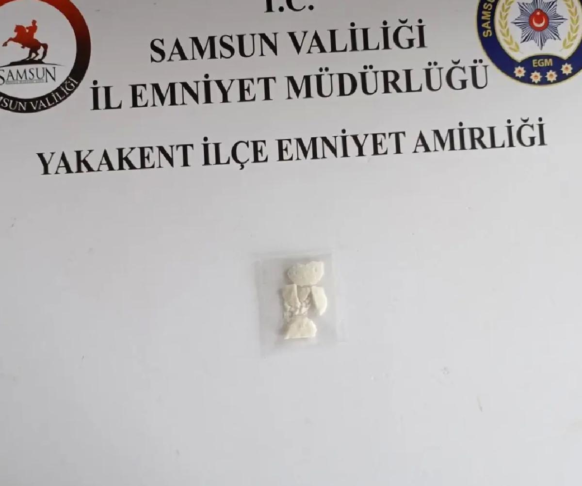 Samsun’da Uyuşturucu Baskını: 16,6 Gram Kokain Ele Geçirildi