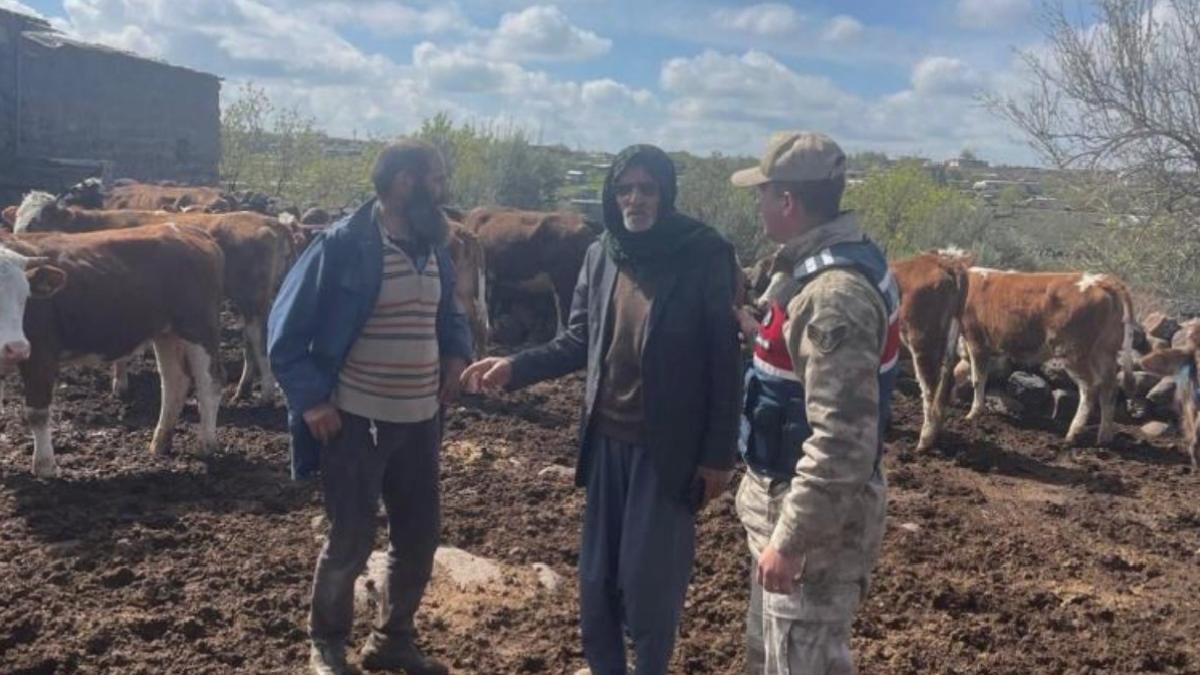 Şanlıurfa’da çalınan büyükbaşlar sahibine kavuştu