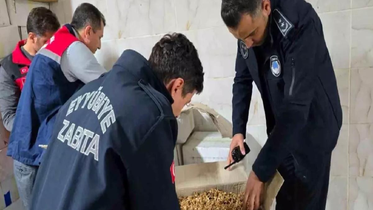 Şanlıurfa’da Zabıta Kurtlanmış 11 Ton Cevize El Koydu