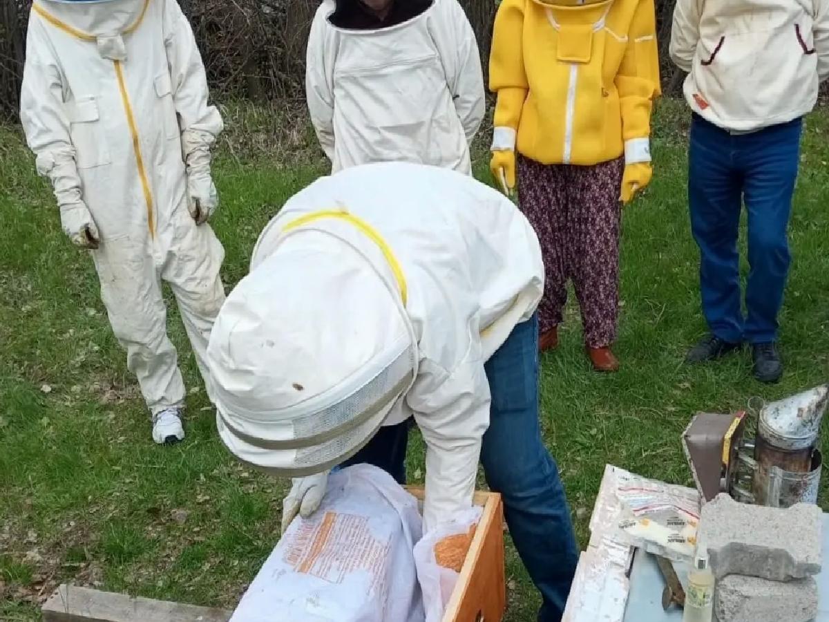 Şarkışla’da Arıcılık Kursu Başladı