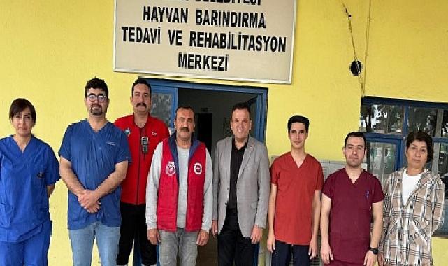 Satın alma sahiplen