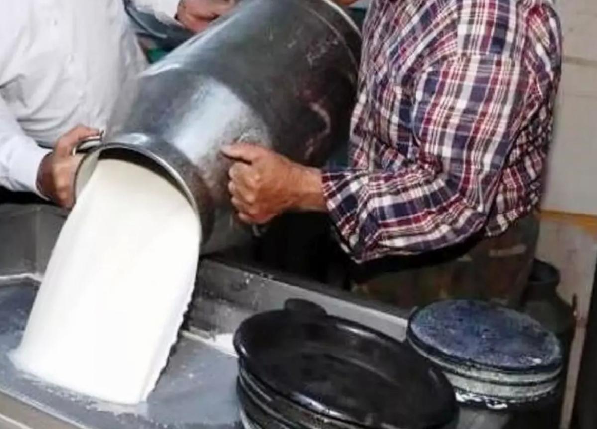 Şubat’ta İnek Sütü Toplama %5,4 Düştü