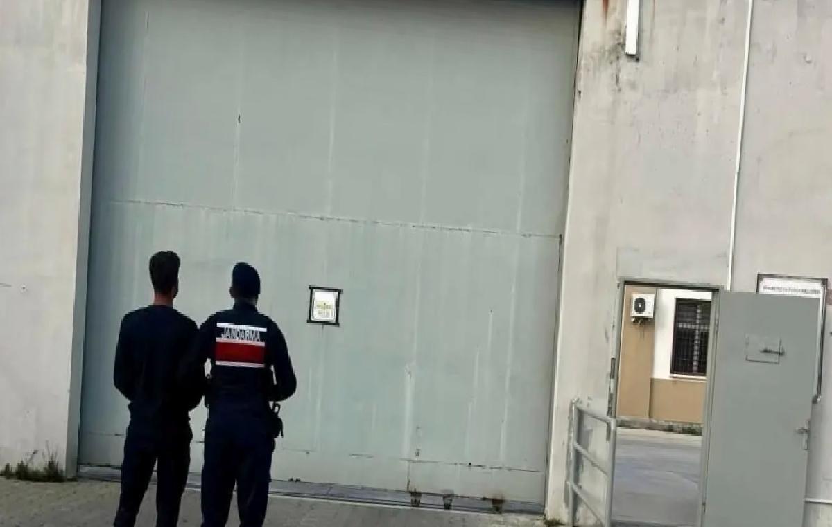 Suçlu Genç Jandarma Tarafından Yakalandı