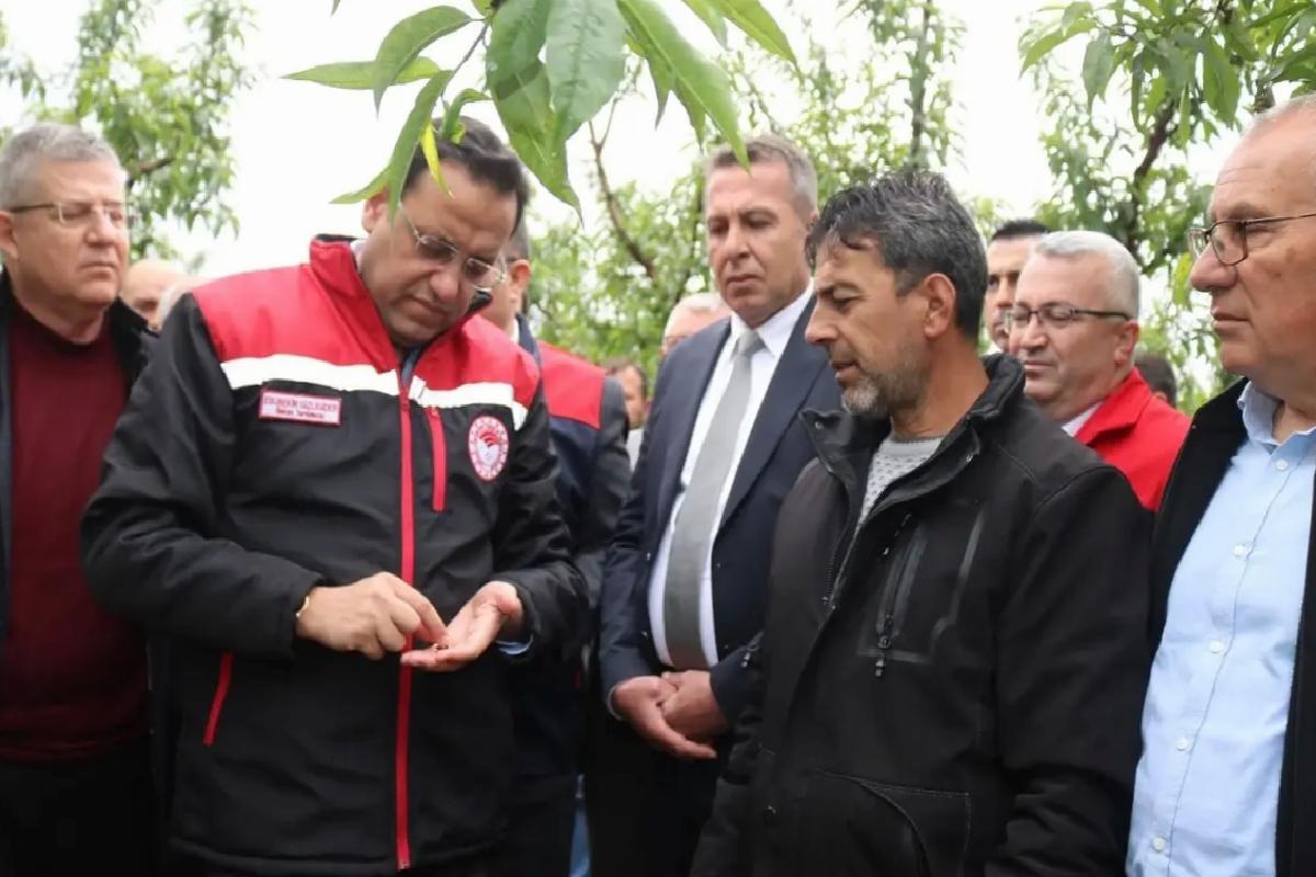 Tarım ve Orman Bakan Yardımcısı Gizligider, Denizli’de zirai dondan etkilenen alanları inceledi