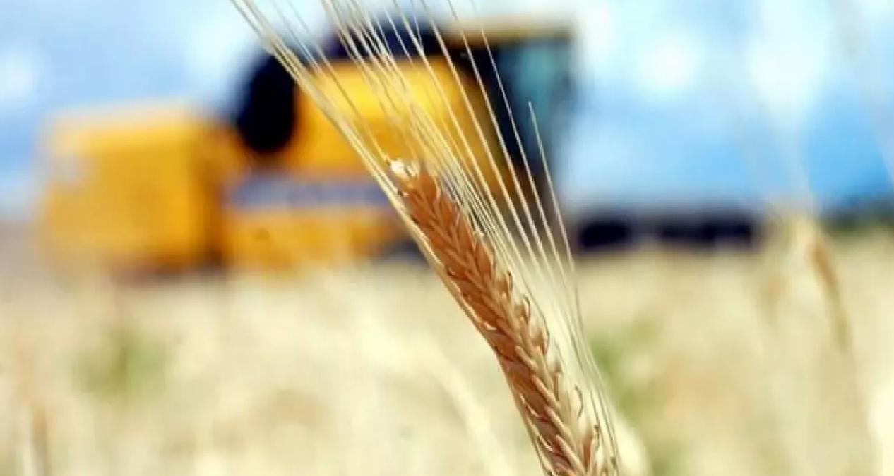 Tarımsal Girdi Fiyat Endeksi Yükseldi