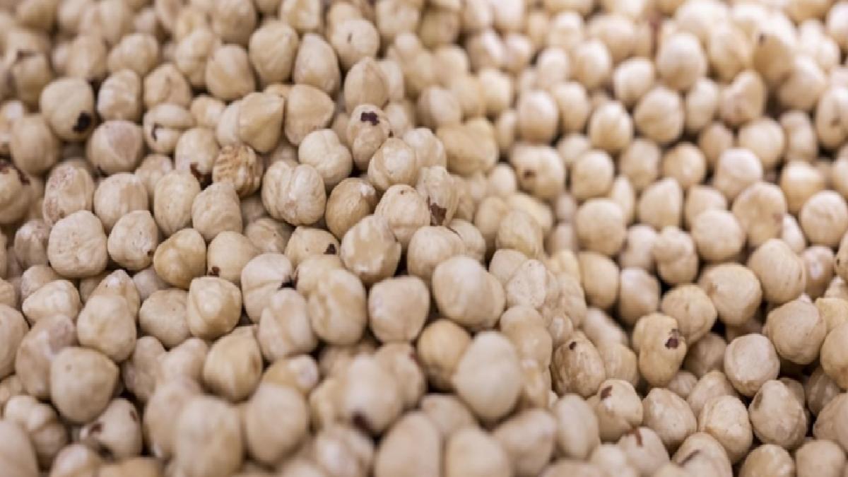 Ticaret borsalarında 7 ayda 514 bin tondan fazla fındık işlem gördü