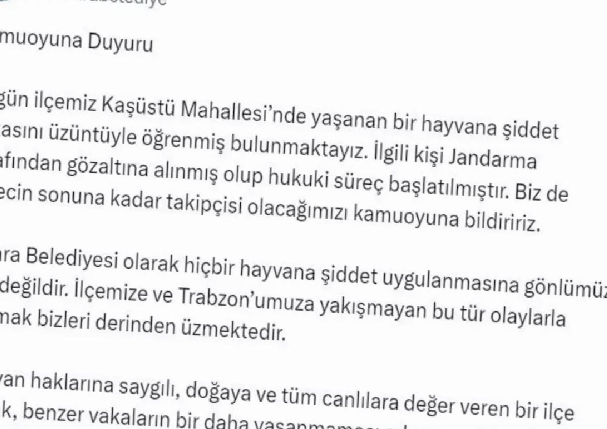 Trabzon’da köpeğe şiddet uygulayan kişi gözaltına alındı