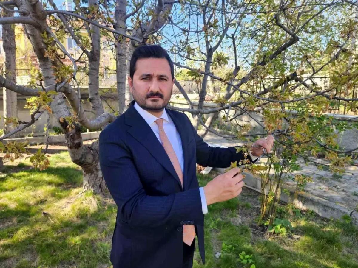 Türk Kirazında Zirai Don Kaybı: İhracatın Tehlikede