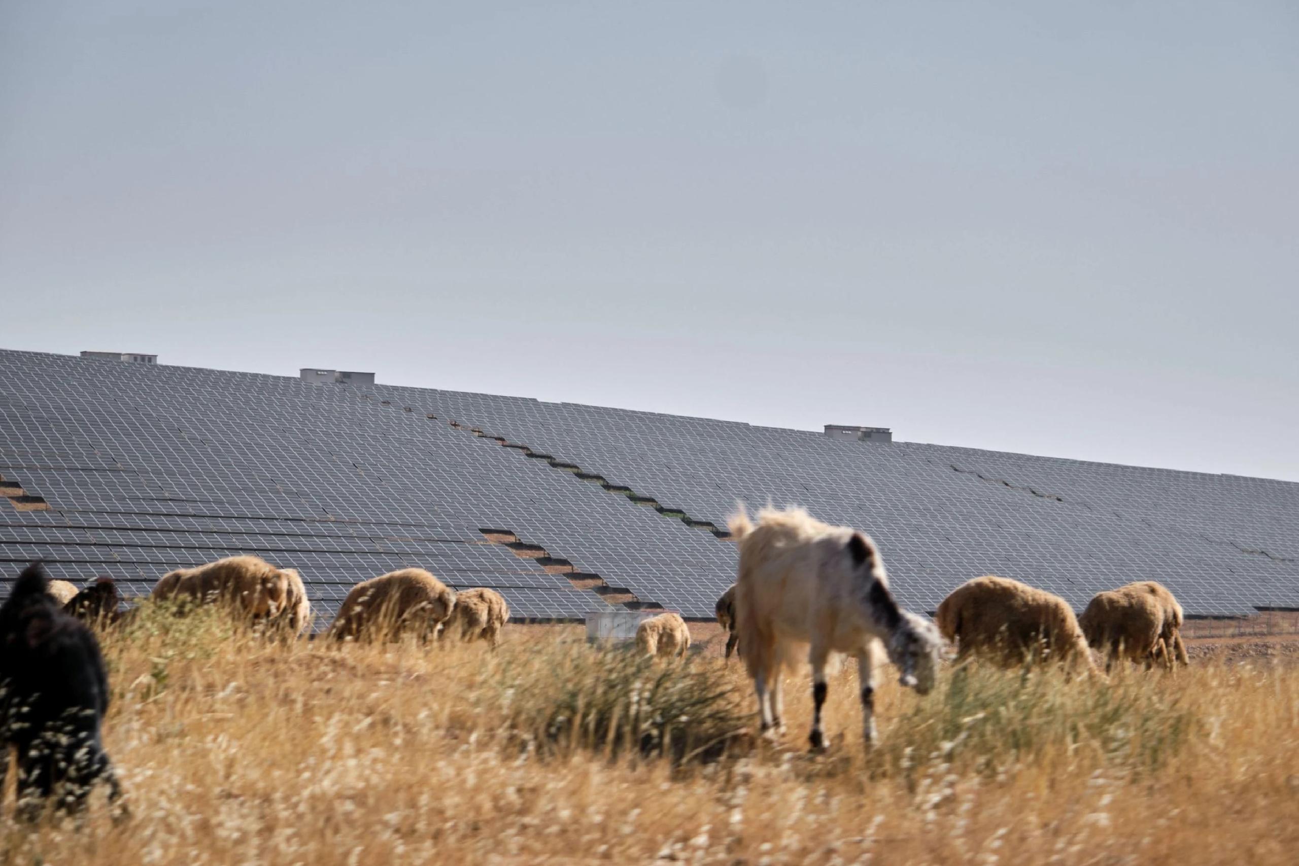 Türkiye, rüzgar ve güneş enerjisinde yerli kömürü geride bıraktı