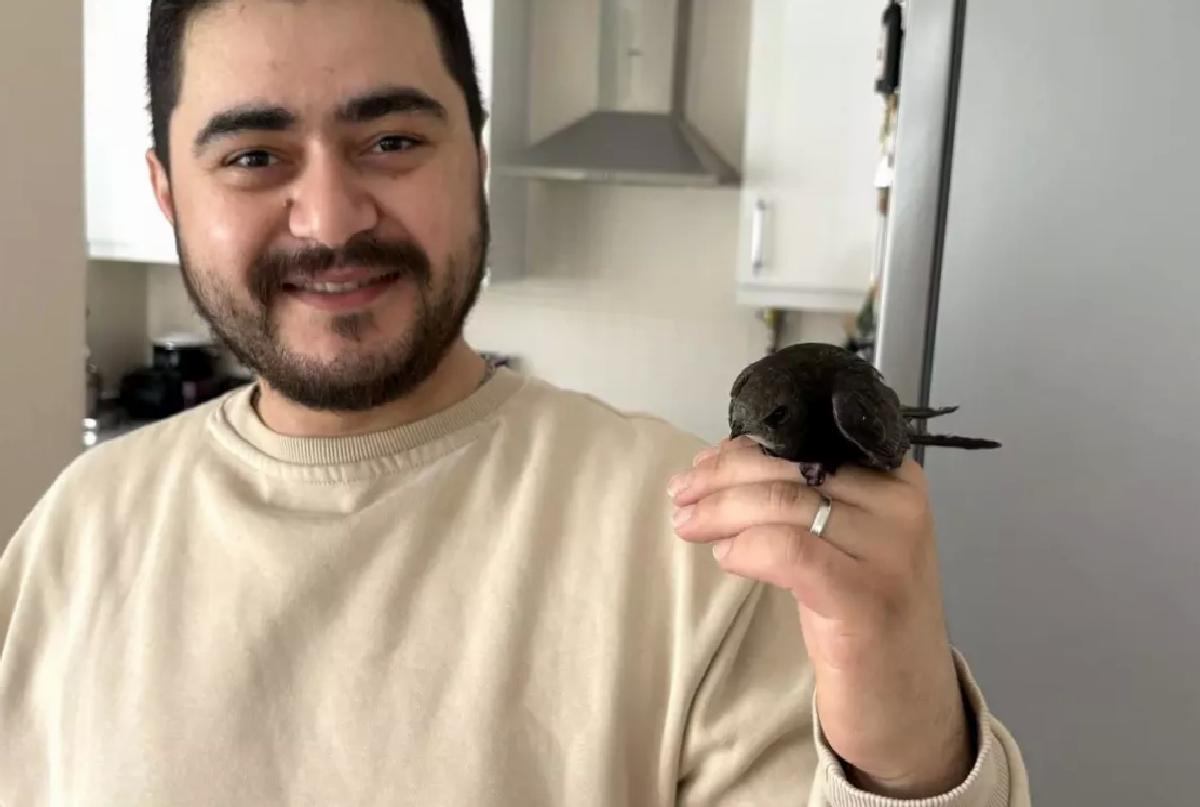 Ünye’de Nadir Kuş Ebabil Doğaya Uçtu