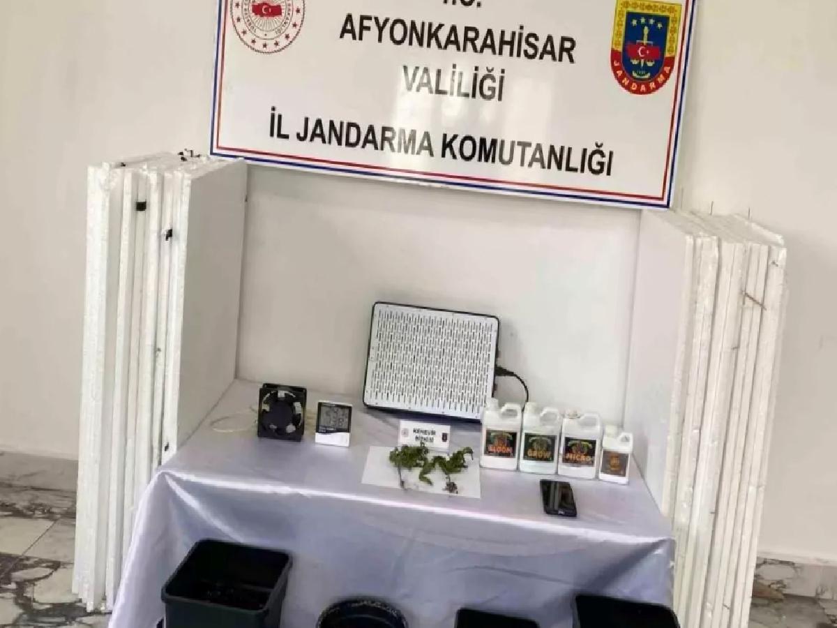 Uyuşturucu Yetiştiren Şahıs Yakalandı